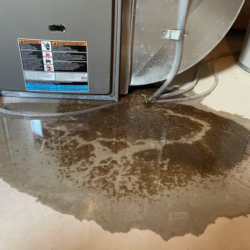 Appliance Leak Cleanup in Hector, MN